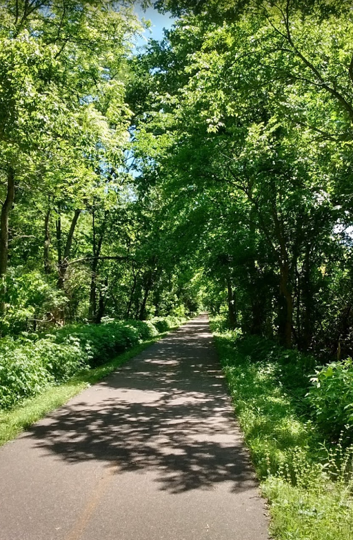 Escape to the Wilds: Your Guide to Ohio's Little Miami State Park